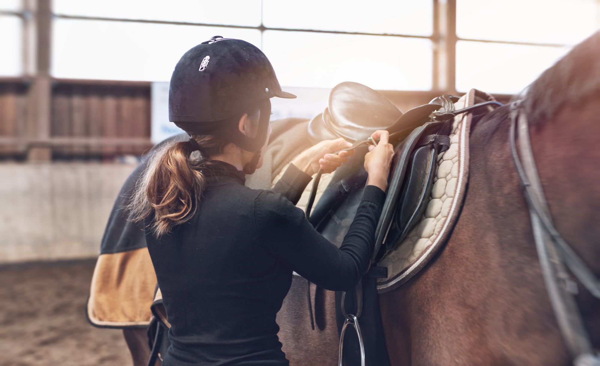 Horse and rider saddling up for a ride in an arena